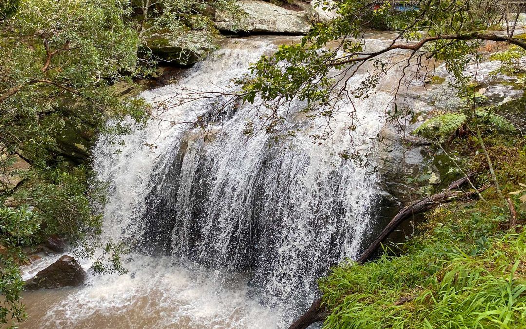 The waterfalls in Glenrock are pumping after the recent rain!